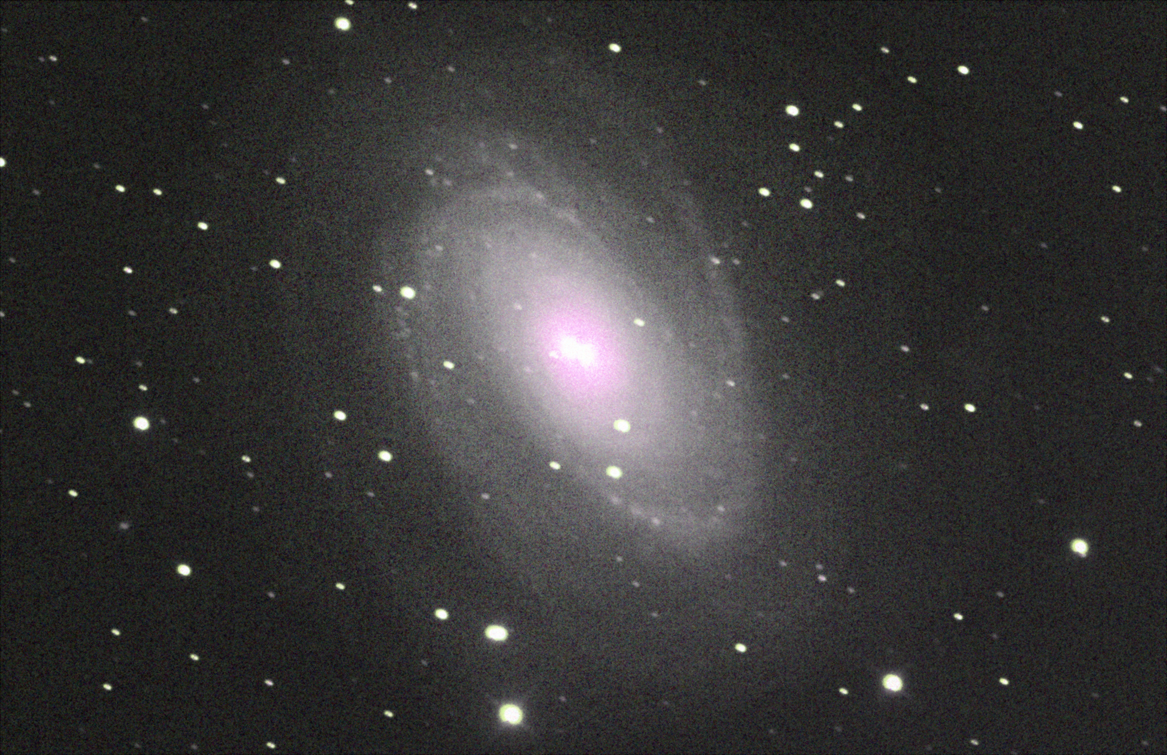 Photo of the M81 spiral galaxy